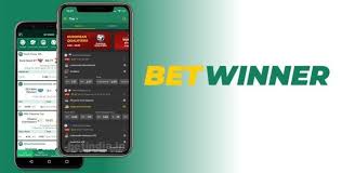 Tout Savoir sur Betwinner Betting Platform 6